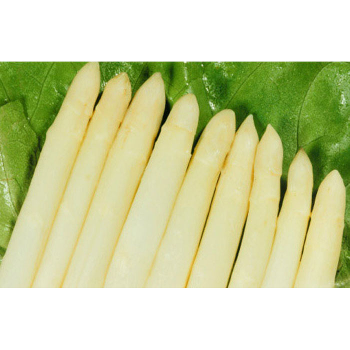 370ml canned white asparagus